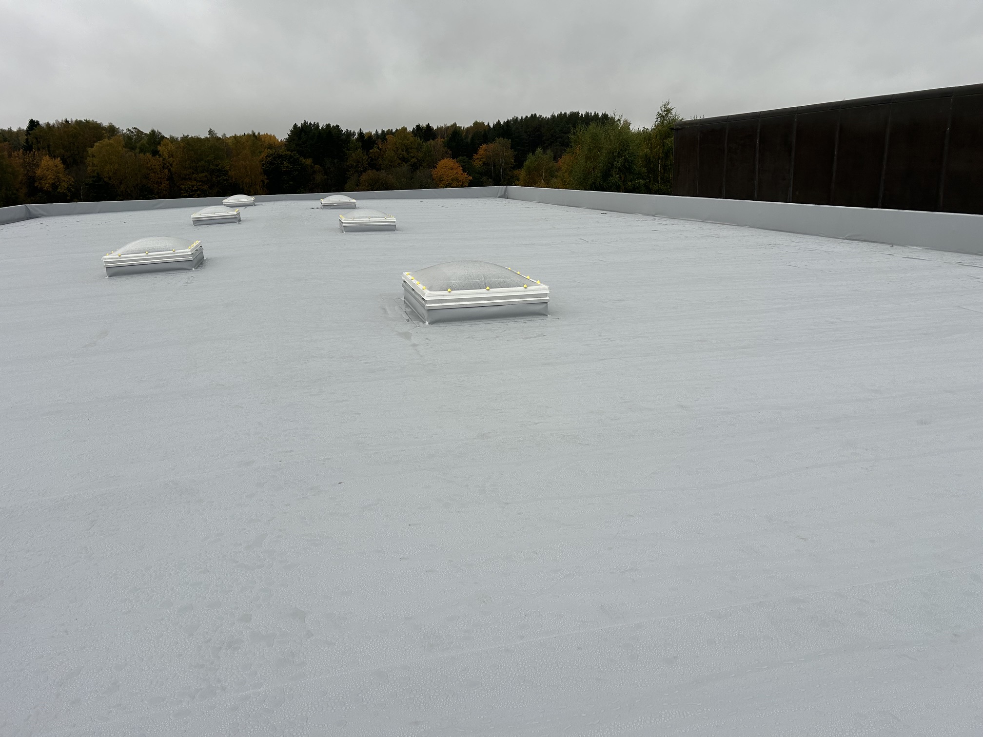 Valmis hall PVC-katus mitme katuseaknaga